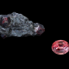 Garnet